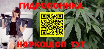 круглые Будённовск