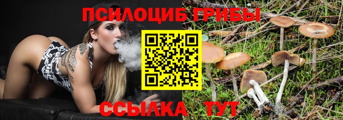 Псилоцибиновые грибы Magic Shrooms Саратов