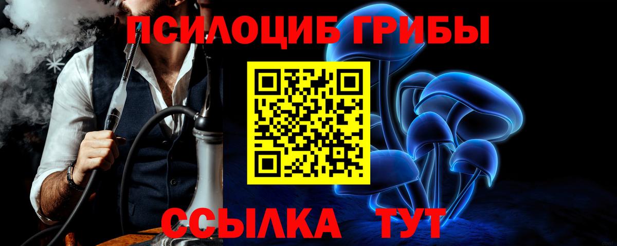 Саратов  Псилоцибиновые грибы Cubensis  Вход с VPN 